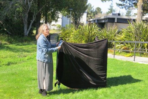 Carolyn Thompson standing next to a shrouded tree before unveiling